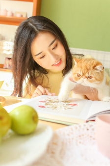 陌上又花开完整版全集免费观看